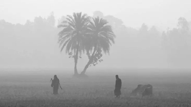 কুয়াশায় ঢাকা পঞ্চগড়, শীতে জবুথবু জনজীবন